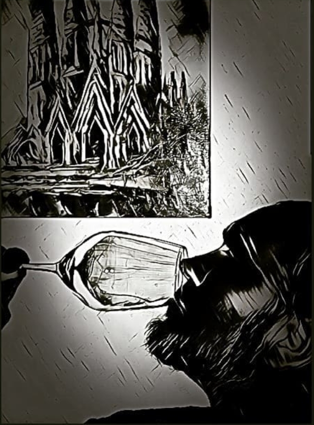 Imagen de perfil de sommelier.vi.cat